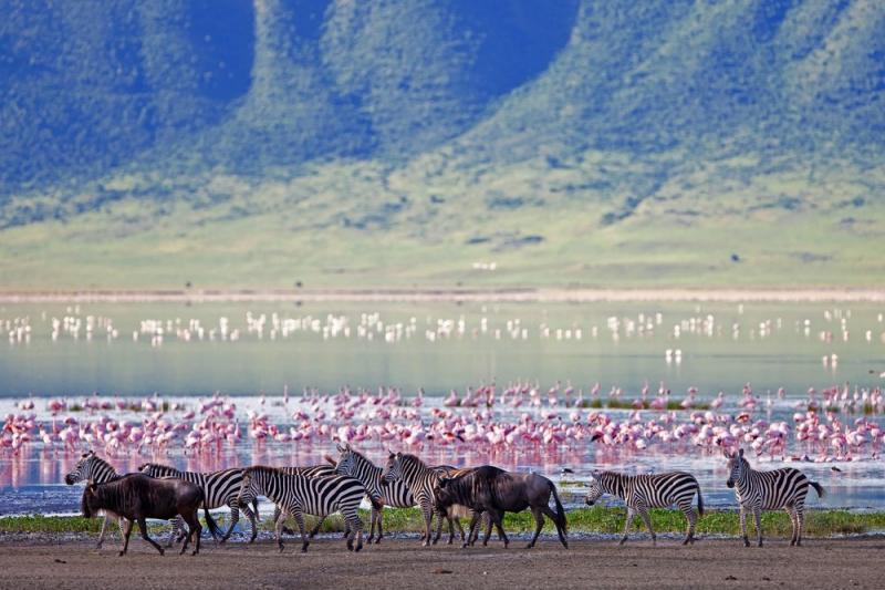 7 days Tarangire, Lake Manyara, Serengeti and Ngorongoro crater safari